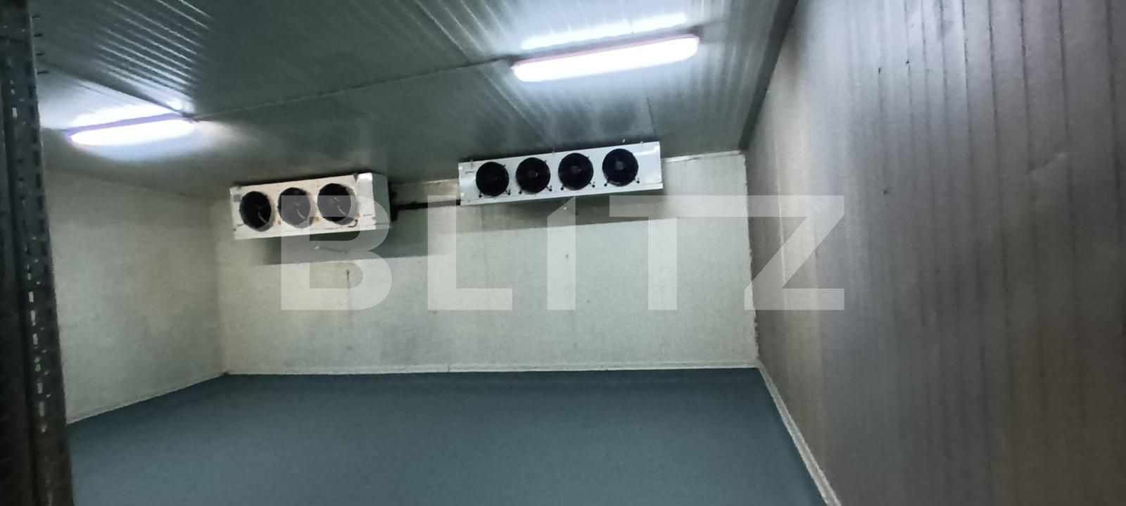 Spațiu industrial de închiriat Rovine - 106105SII | BLITZ Craiova | Poza3