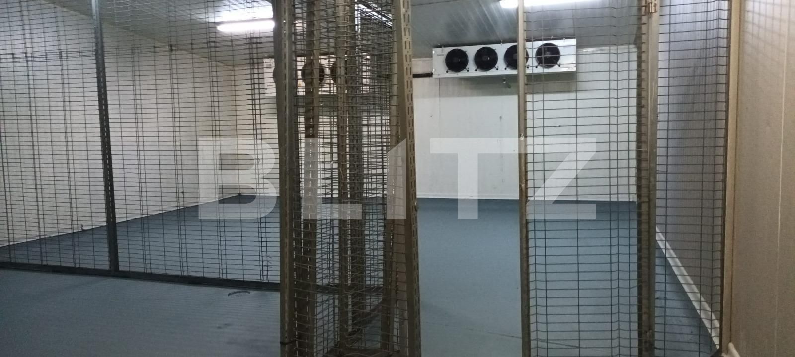 Spațiu industrial de închiriat Rovine - 106105SII | BLITZ Craiova | Poza5