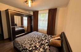 Apartament 2 camere, mobilat si utilat modern, Calea Bucuresti