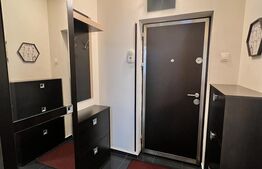 Apartament 2 camere, mobilat si utilat modern, Calea Bucuresti