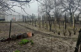 Casa individuala, zona-Ultracentral- Filiasi