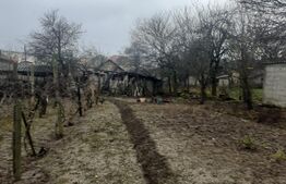 Casa individuala, zona-Ultracentral- Filiasi