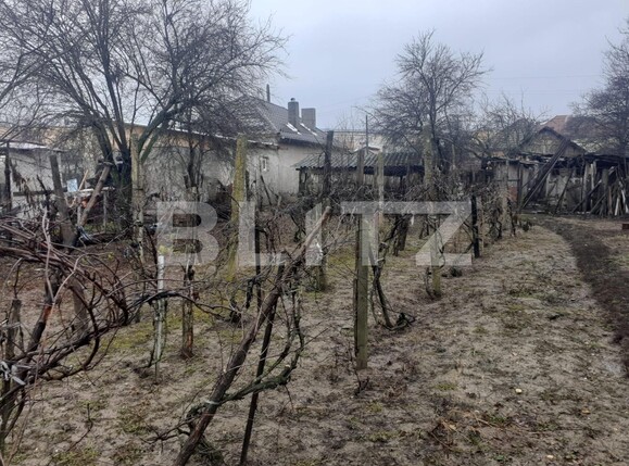 Casa de vânzare 3 camere Filiaşi - 106132CV | BLITZ Craiova | Poza7