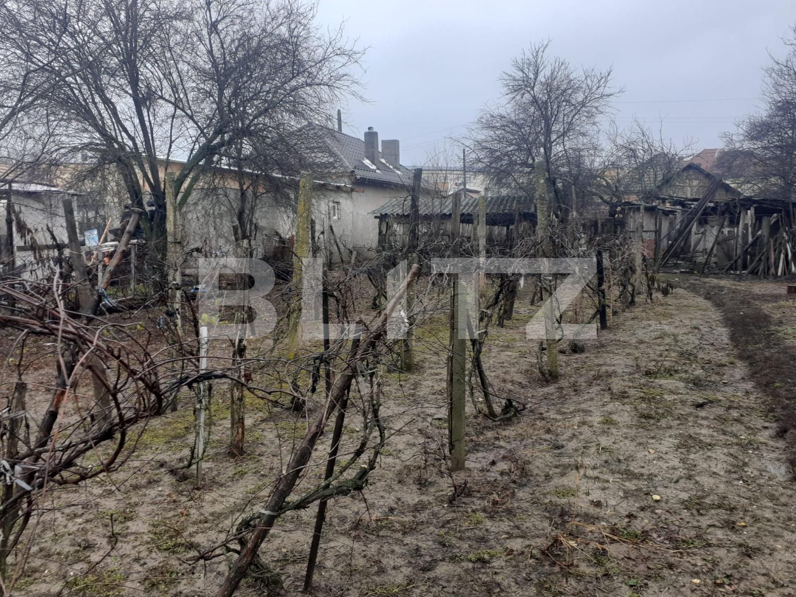 Casa de vânzare 3 camere Filiaşi - 106132CV | BLITZ Craiova | Poza7