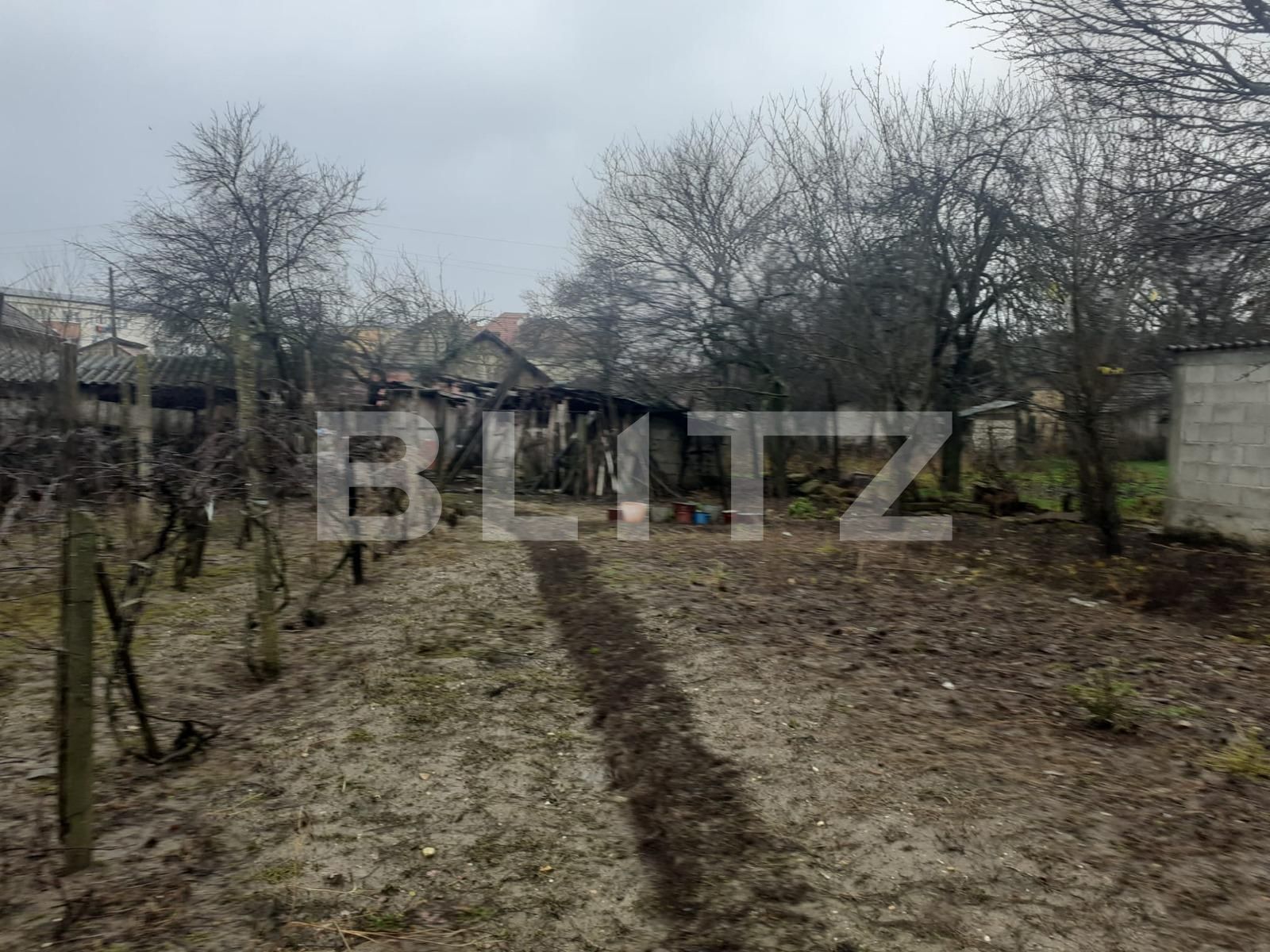 Casa de vânzare 3 camere Filiaşi - 106132CV | BLITZ Craiova | Poza9