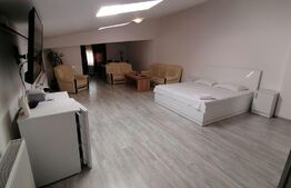 Studio, 65 mp, Central/ zona Judecatorie