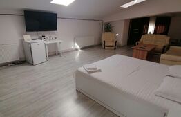 Studio, 65 mp, Central/ zona Judecatorie