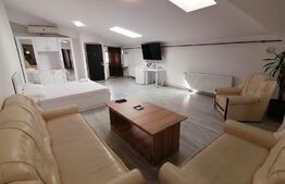 Studio, 65 mp, Central/ zona Judecatorie