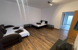 Garsoniera petfrendly, Strada Campia Islaz