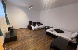 Garsoniera petfrendly, Strada Campia Islaz