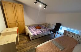 Apartament 3 camere petfrendly, Strada Campia Islaz