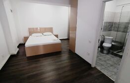 Apartament de 2 camere, centrala termica, aer conditionat, zona Centrala