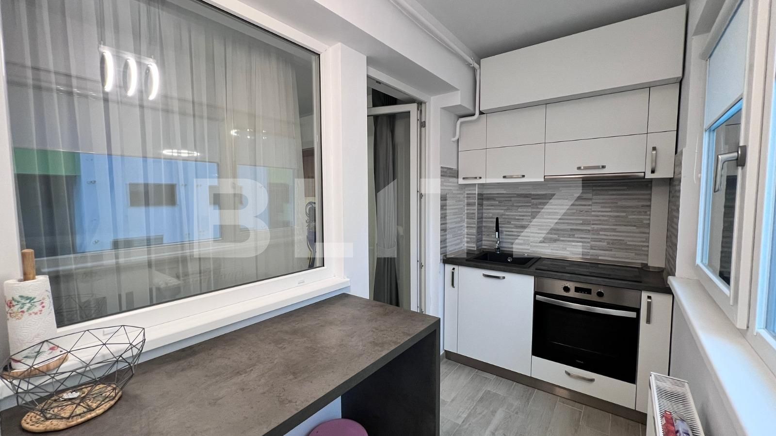 Apartament de închiriat 3 camere Lapus Arges - 106315AI | BLITZ Craiova | Poza13