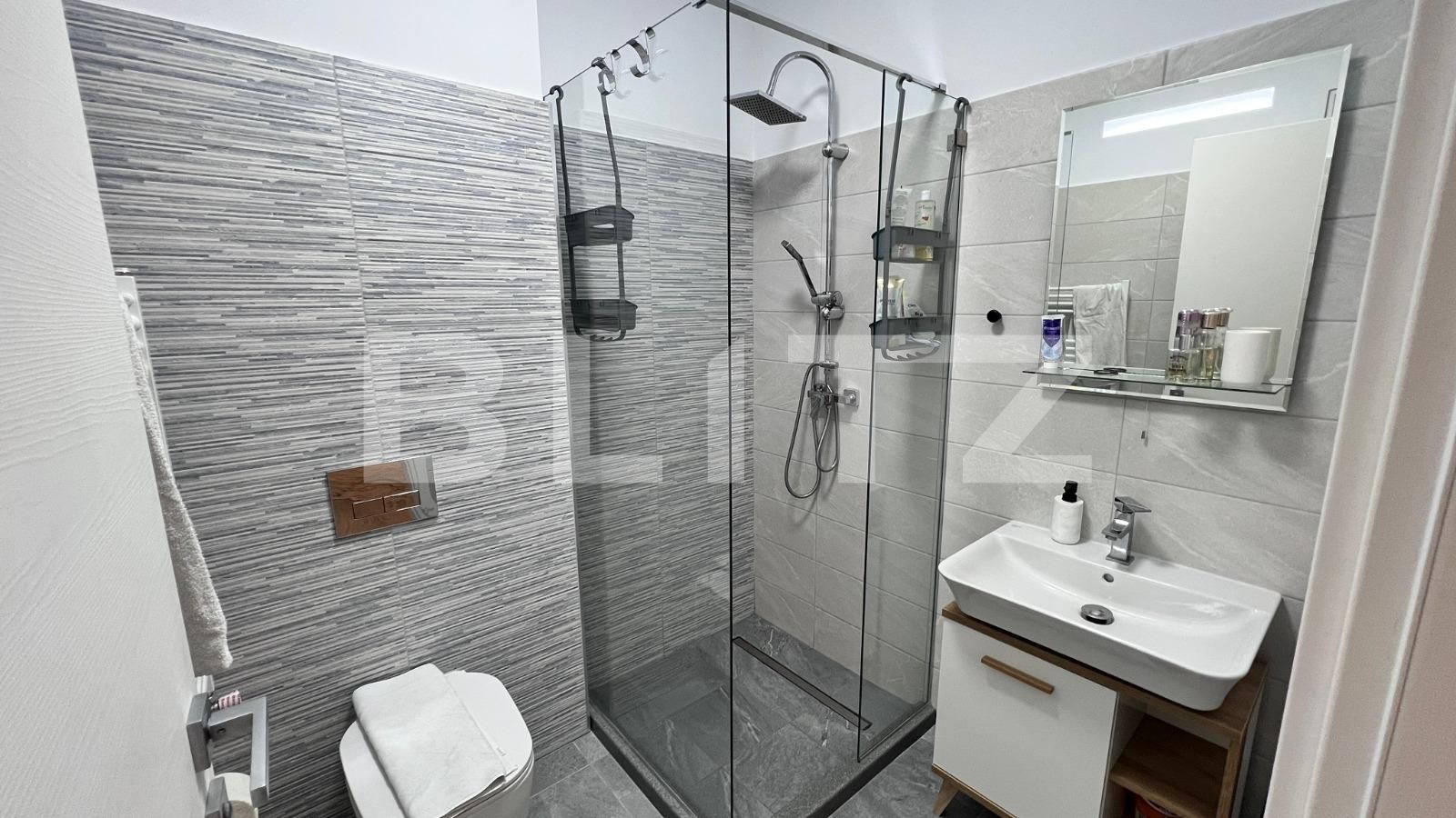 Apartament de închiriat 3 camere Lapus Arges - 106315AI | BLITZ Craiova | Poza11