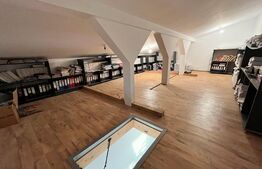 REDUCERE! Casă P + E + M 181 mp utili, cu teren de 521 mp, zona Aeroportului