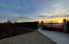 REDUCERE! Casă P + E + M 181 mp utili, cu teren de 521 mp, zona Aeroportului