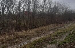 Teren extravilan de 7500mp, Filiasi-Zona Padurea Militari