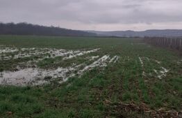 Teren extravilan de 7500mp, Filiasi-Zona Padurea Militari