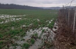 Teren extravilan de 7500mp, Filiasi-Zona Padurea Militari