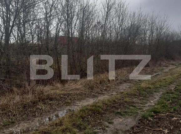 Teren de vânzare Filiaşi - 106509TV | BLITZ Craiova | Poza3