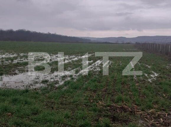 Teren de vânzare Filiaşi - 106509TV | BLITZ Craiova | Poza1