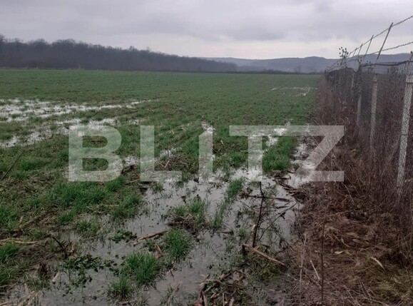 Teren de vânzare Filiaşi - 106509TV | BLITZ Craiova | Poza2