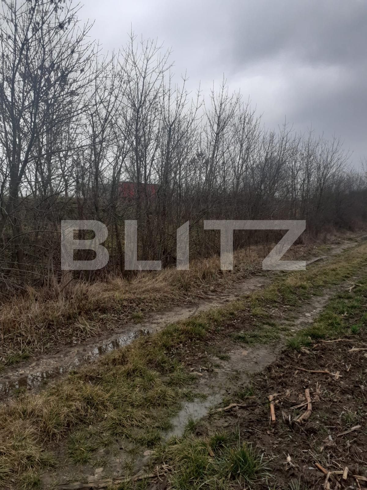 Teren de vânzare Filiaşi - 106509TV | BLITZ Craiova | Poza3