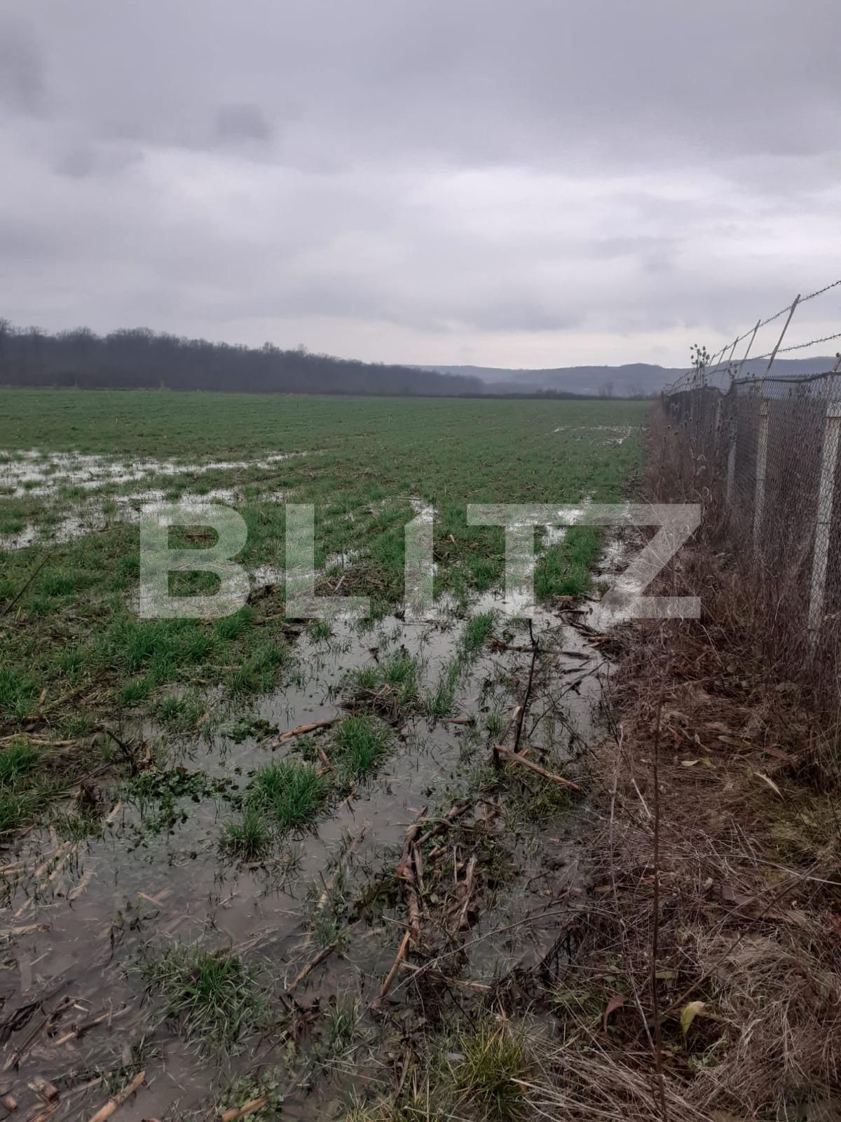 Teren de vânzare Filiaşi - 106509TV | BLITZ Craiova | Poza2