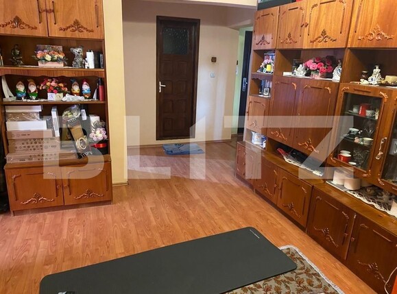 Apartament de vânzare 3 camere Lapus - 106601AV | BLITZ Craiova | Poza2