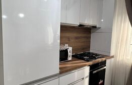 Studio Modern\lux, zona 1 mai