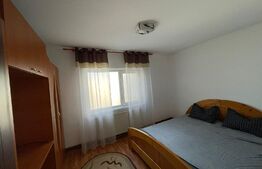 Apartament 2 camere, semidecomandat, etaj intermediar, Rovine, Dezrobirii