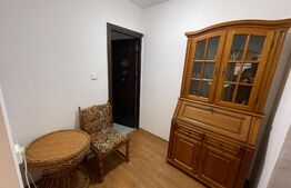 Apartament 2 camere+curte, centrala termica, Brazda lui Novac