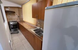 Apartament 2 camere+curte, centrala termica, Brazda lui Novac