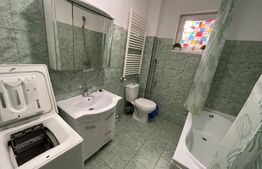 Apartament 2 camere+curte, centrala termica, Brazda lui Novac