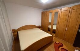 Apartament 2 camere+curte, centrala termica, Brazda lui Novac