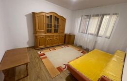 Apartament 2 camere+curte, centrala termica, Brazda lui Novac