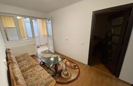 Apartament 2 camere+curte, centrala termica, Brazda lui Novac