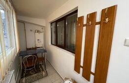 Apartament 2 camere+curte, centrala termica, Brazda lui Novac
