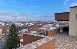 Penthouse, zona Agronomie, Terasa 100mp