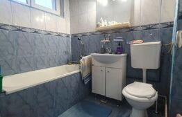 Apartament de 2 camere,Centrala termica, cartier Brazda lui Novac