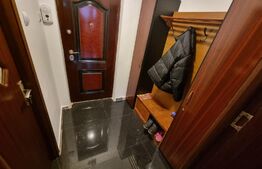 Garsoniera, etaj intermediar, renovata, Brazda (Zona Titulescu)