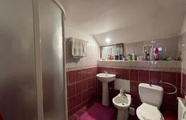 Casa P+M 182 mp utili, 620 mp teren, Simnicul de Jos