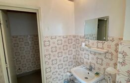 Spatiu comercial 50 mp, zona Lapus 