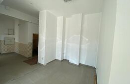Spatiu comercial 50 mp, zona Lapus 