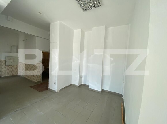 Spațiu comercial de închiriat Lapus - 107411SIC | BLITZ Craiova | Poza4