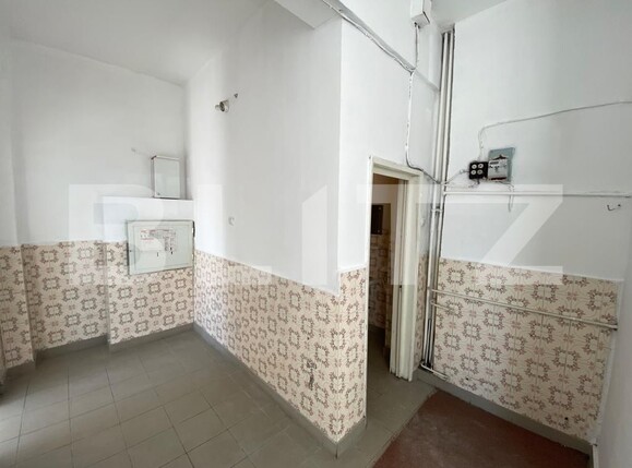 Spațiu comercial de închiriat Lapus - 107411SIC | BLITZ Craiova | Poza5