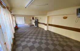 Spatiu comercial 43 mp, zona Rovine 