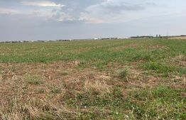 Teren 1000 mp, intravilan, Ghercesti (Aeroport)