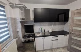 Apartament 2 camere, AC, Brazda lui Novac