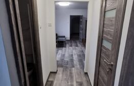 Apartament 2 camere, AC, Brazda lui Novac